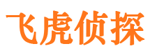 陆川私家侦探公司